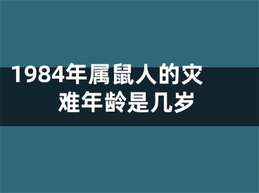 1984年属鼠人的灾难年龄是几岁