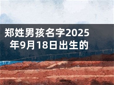 郑姓男孩名字2025年9月18日出生的