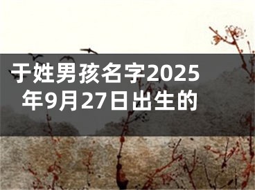 于姓男孩名字2025年9月27日出生的