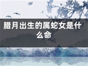 腊月出生的属蛇女是什么命