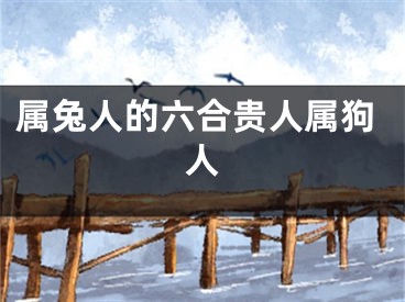 属兔人的六合贵人属狗人