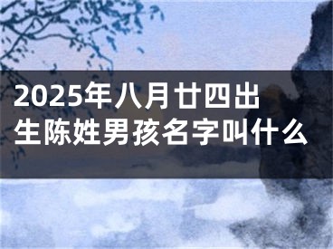 2025年八月廿四出生陈姓男孩名字叫什么