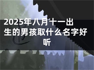 2025年八月十一出生的男孩取什么名字好听