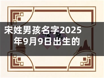 宋姓男孩名字2025年9月9日出生的