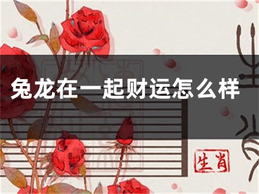 兔龙在一起财运怎么样