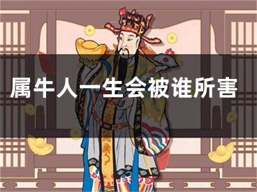 属牛人一生会被谁所害