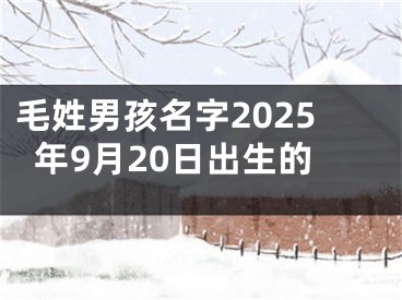 毛姓男孩名字2025年9月20日出生的