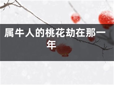 属牛人的桃花劫在那一年 