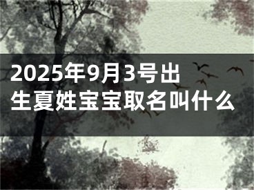 2025年9月3号出生夏姓宝宝取名叫什么