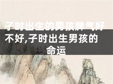 子时出生的男孩脾气好不好,子时出生男孩的命运