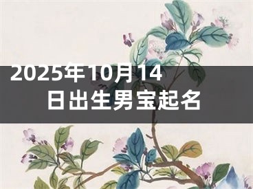 2025年10月14日出生男宝起名