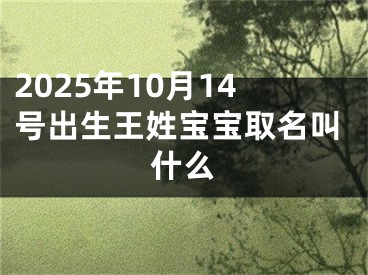 2025年10月14号出生王姓宝宝取名叫什么
