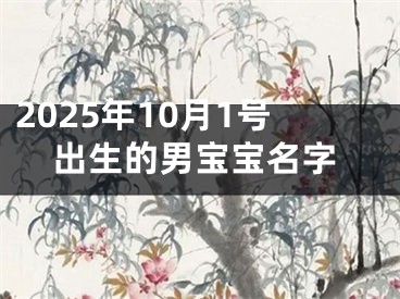 2025年10月1号出生的男宝宝名字