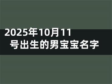2025年10月11号出生的男宝宝名字