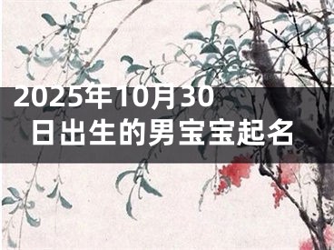 2025年10月30日出生的男宝宝起名