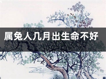 属兔人几月出生命不好
