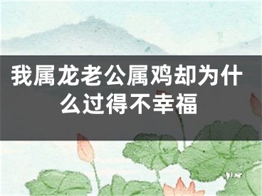 我属龙老公属鸡却为什么过得不幸福