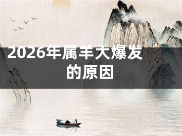 2026年属羊大爆发的原因