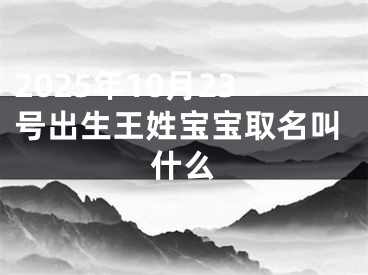 2025年10月23号出生王姓宝宝取名叫什么