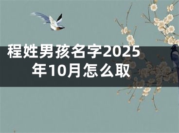 程姓男孩名字2025年10月怎么取