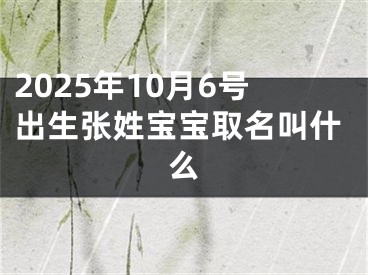 2025年10月6号出生张姓宝宝取名叫什么