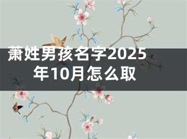 萧姓男孩名字2025年10月怎么取