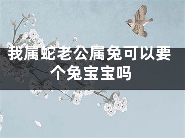 我属蛇老公属兔可以要个兔宝宝吗