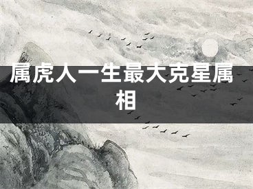 属虎人一生最大克星属相