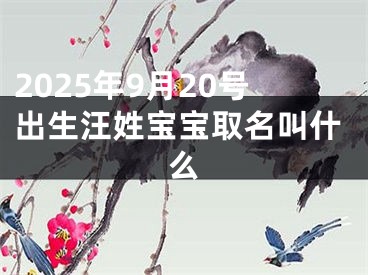 2025年9月20号出生汪姓宝宝取名叫什么