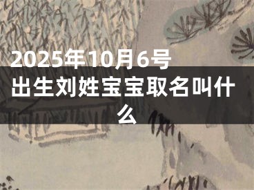 2025年10月6号出生刘姓宝宝取名叫什么