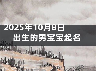 2025年10月8日出生的男宝宝起名