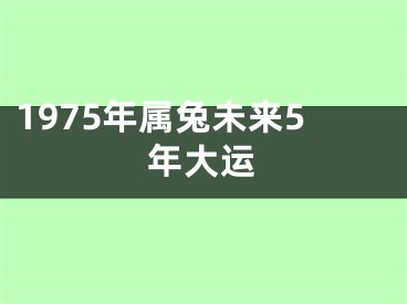 1975年属兔未来5年大运