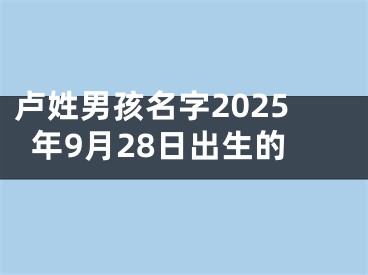 卢姓男孩名字2025年9月28日出生的