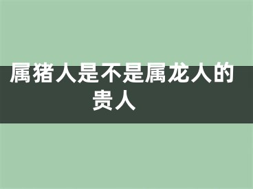 属猪人是不是属龙人的贵人 