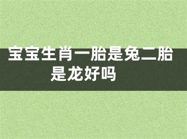 宝宝生肖一胎是兔二胎是龙好吗 