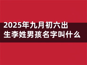 2025年九月初六出生李姓男孩名字叫什么