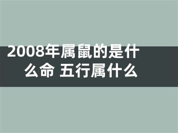 2008年属鼠的是什么命 五行属什么