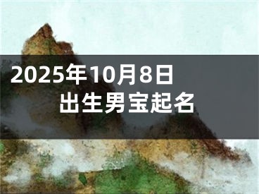 2025年10月8日出生男宝起名
