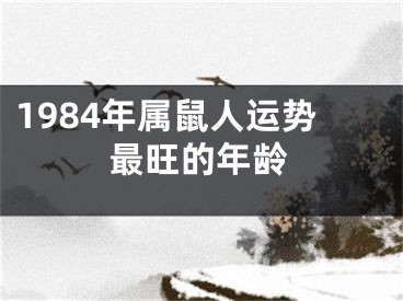 1984年属鼠人运势最旺的年龄