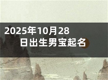 2025年10月28日出生男宝起名