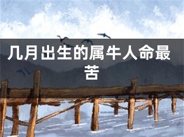 几月出生的属牛人命最苦
