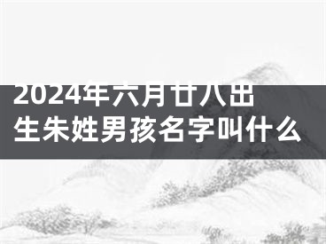 2024年六月廿八出生朱姓男孩名字叫什么