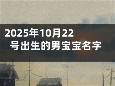 2025年10月22号出生的男宝宝名字