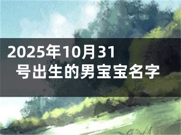 2025年10月31号出生的男宝宝名字