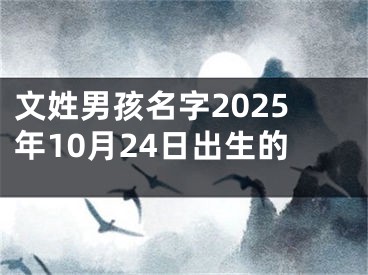 文姓男孩名字2025年10月24日出生的