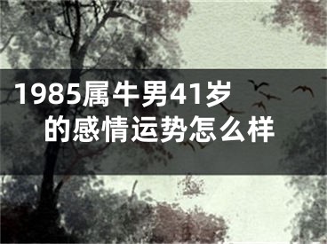 1985属牛男41岁的感情运势怎么样