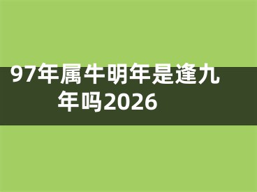 97年属牛明年是逢九年吗2026