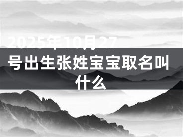 2025年10月27号出生张姓宝宝取名叫什么