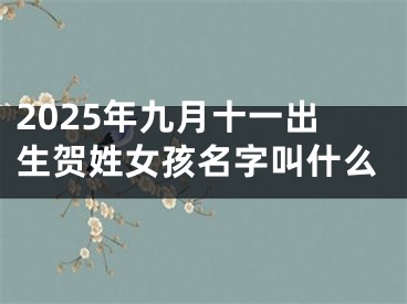 2025年九月十一出生贺姓女孩名字叫什么