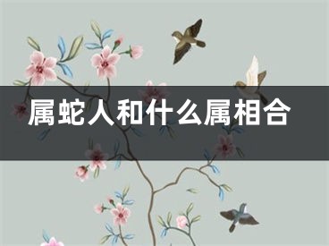 属蛇人和什么属相合
